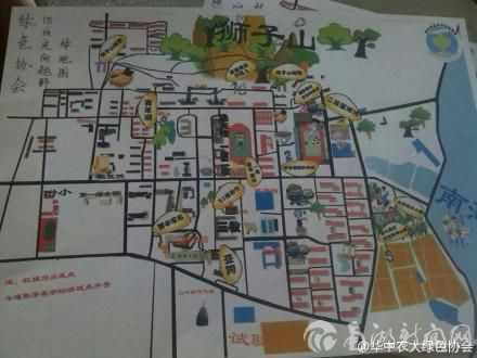 校内定向越野绿地图