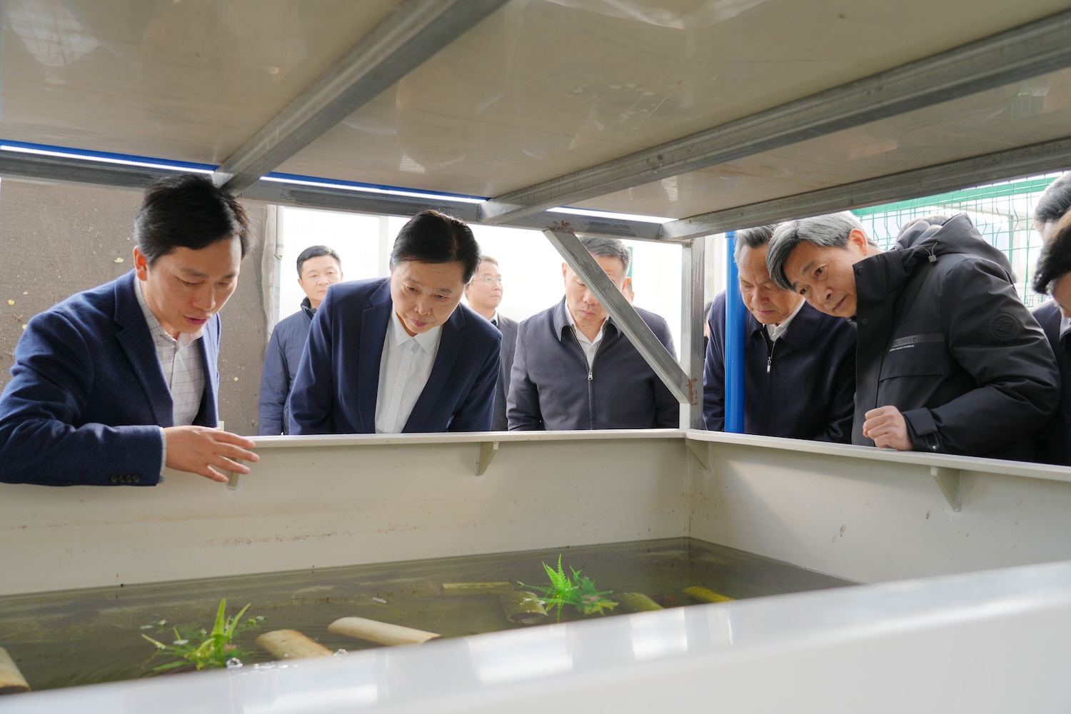 王艳玲一行赴水产科研基地,听取顾泽茂教授汇报优质小龙虾新品种培育情况