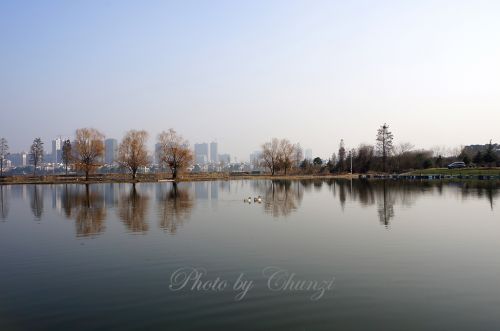 褪去斑斓色彩的冬季水塘