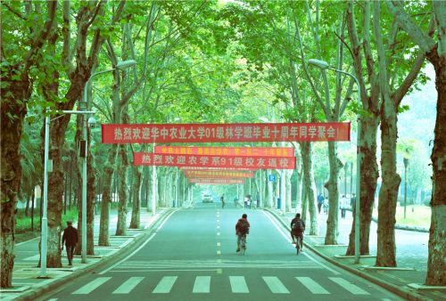 毕业十年，母校依旧情深