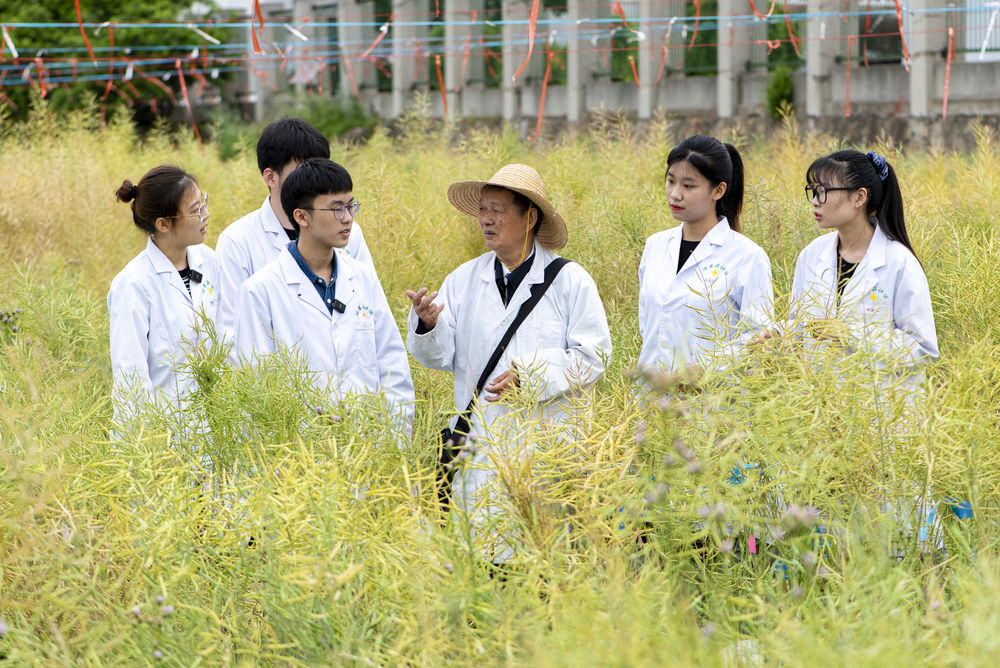 傅廷栋（右三）在田间指导学生。（刘涛 摄）