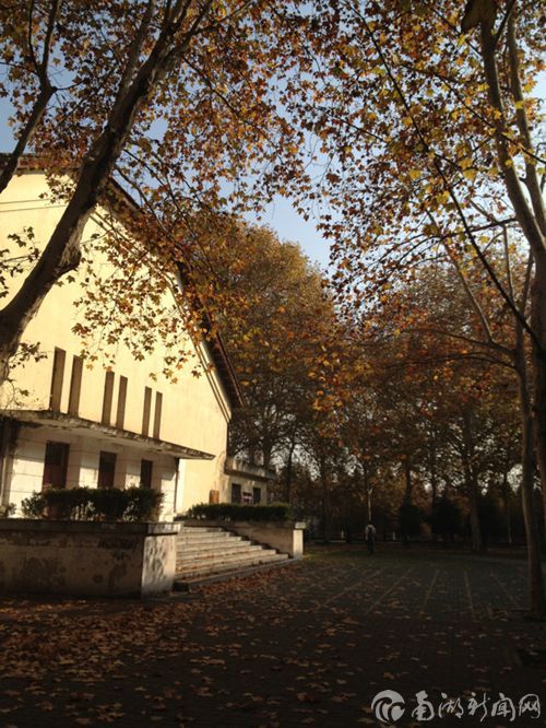 施之韵-风景类-组照-秋意浓2