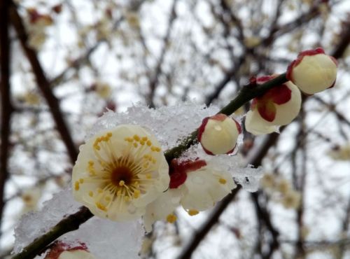 新建文件夹QQ图片20160201145910