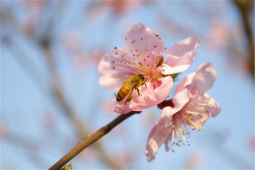 08a9a0f04b052ed6509f08e1e3ec9bbf-sz_653180.jpg@1l_640w