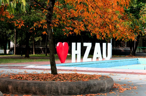 屏幕快照 2015-12-30 下午11.24