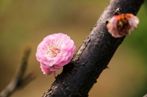 M4~RFVNM`(9Z9]HMK{{Q@LX