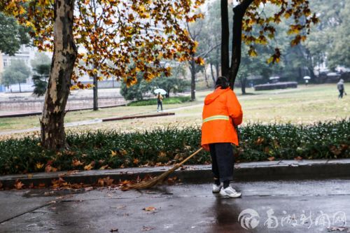 镜头三：弯曲的后背，卷起的裤边。枯叶细雨下，勤劳最动人。