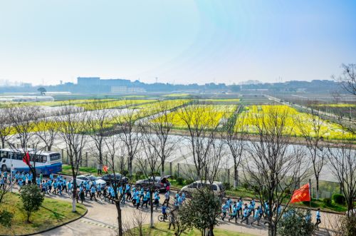 徜徉油菜花海 吕岩