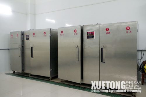 17.培养豆芽的机器