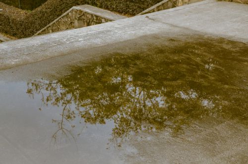 4.庭下如积水空明，水中藻荇交横　吕岩