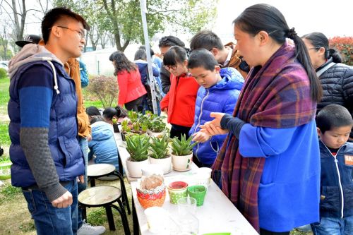 负责人给游客介绍这些植物种植的小方法
