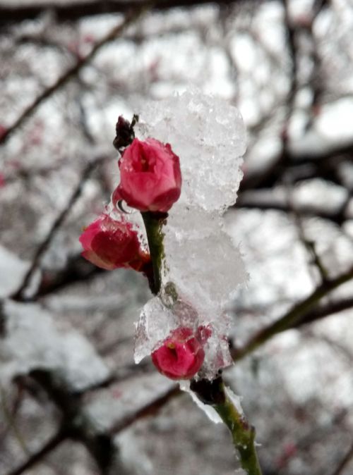新建文件夹QQ图片20160201145855