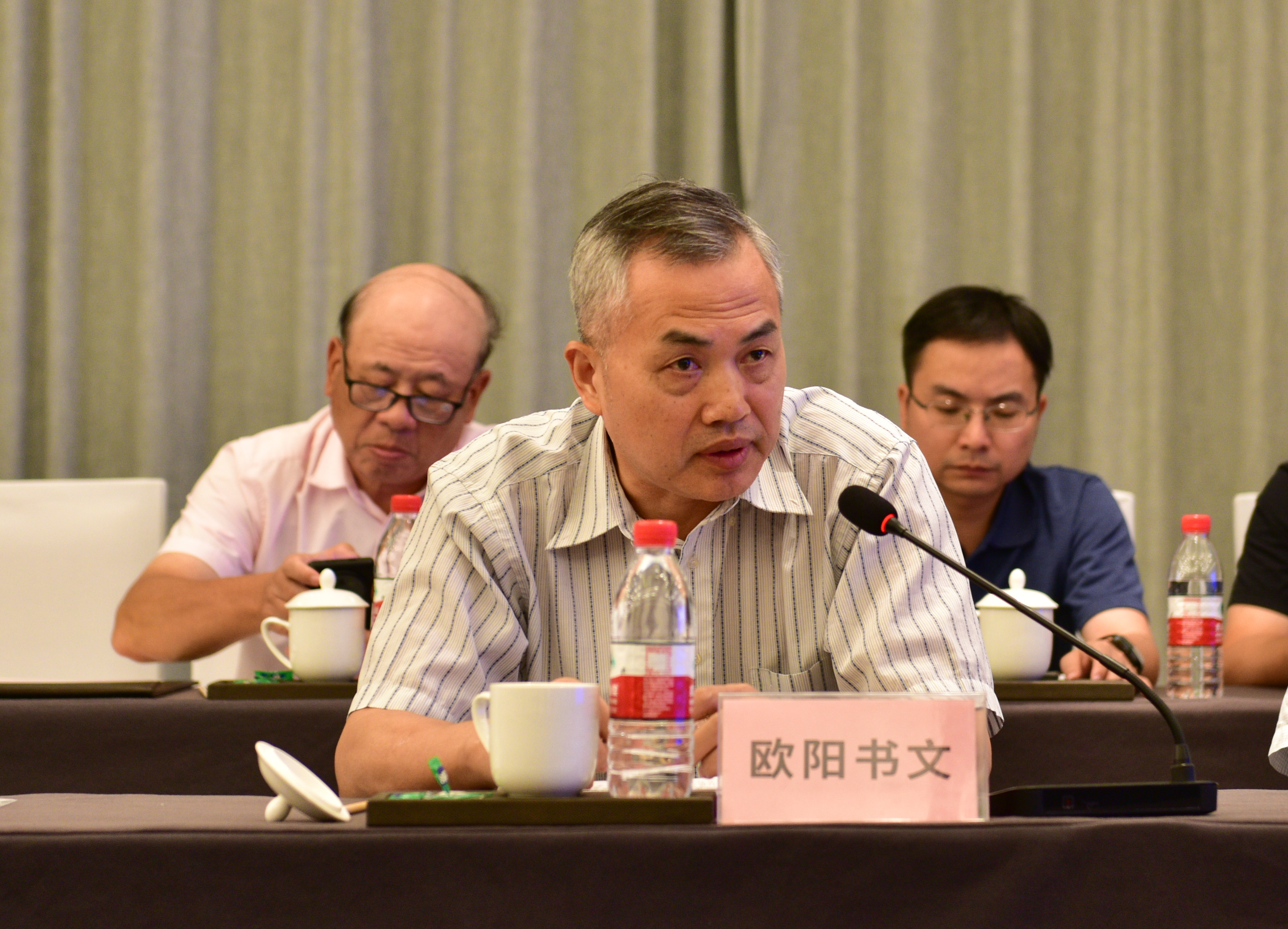 湖北省农业农村厅二级巡视员欧阳书文总结发言(记者 吴晗 摄)