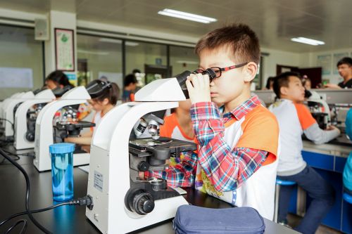 小男孩探索生命 丁文杰