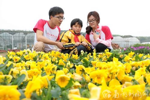 我想摸摸有几片花瓣