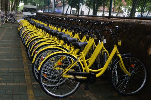 雨中“小黄车” 何卉