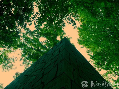 夏康-风景类-单幅-森绿