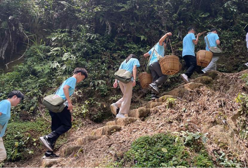 华中农大青年在井冈山重走挑粮小道。