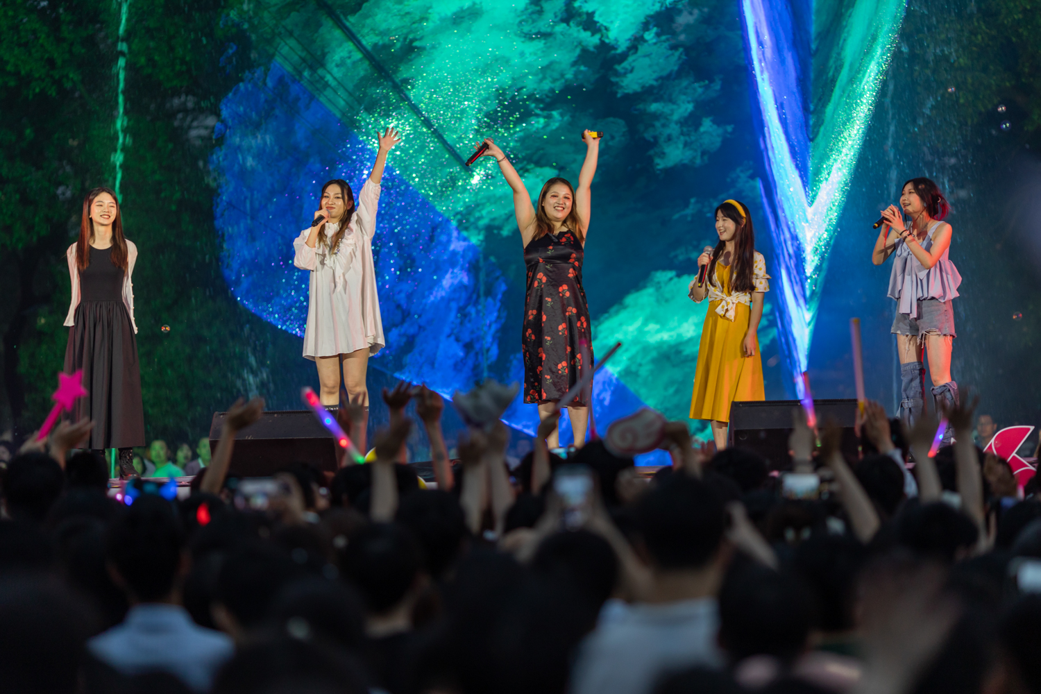 《那些花儿》（学通社记者 周全 摄）