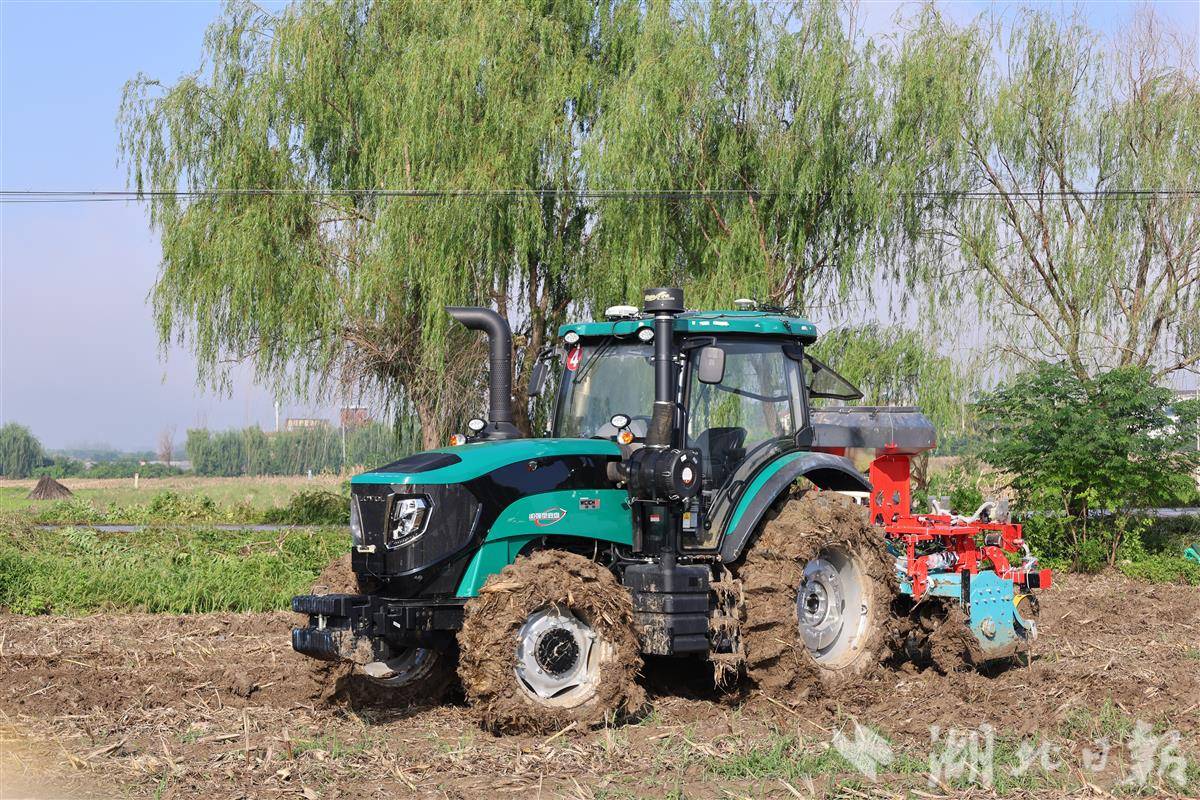 8J1A0160.JPG 8J1A0160.JPG