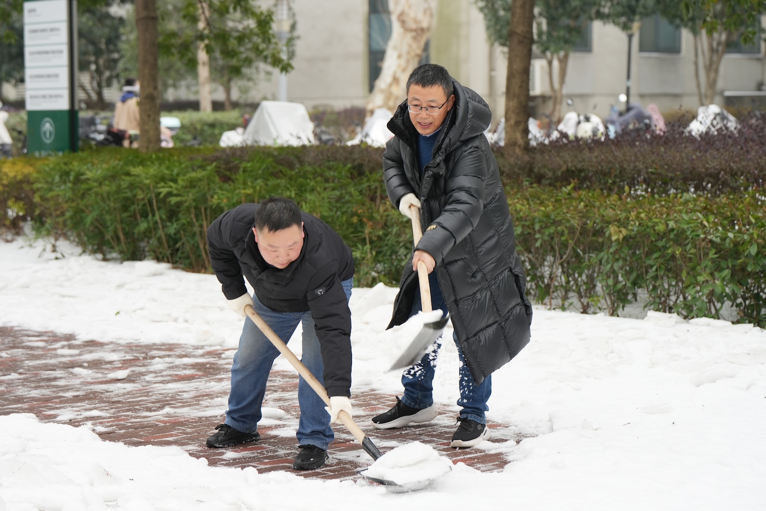 信息学院李国亮教授参与铲雪（记者 晏华华 摄）