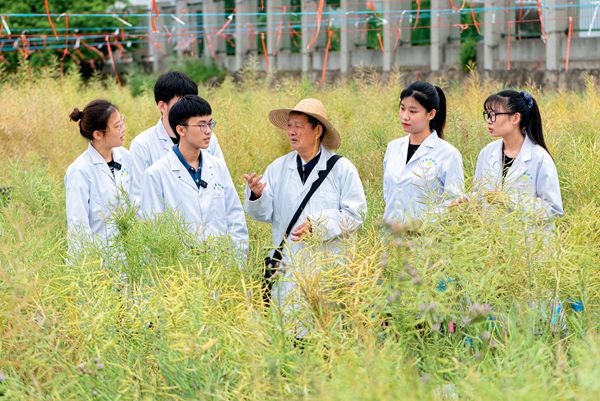 2022年4月，傅廷栋（右三）在华中农业大学的试验田指导学生。（刘涛 / 摄）