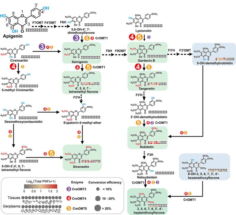 $ZDVM~1ASV`P690TF9Y_K$F