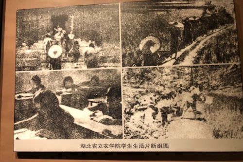 图为湖北省立农学院学生生活片段
