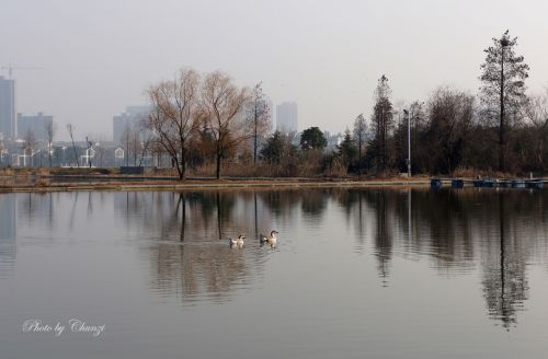 灰蒙蒙的天空描绘了一幅淡水墨画