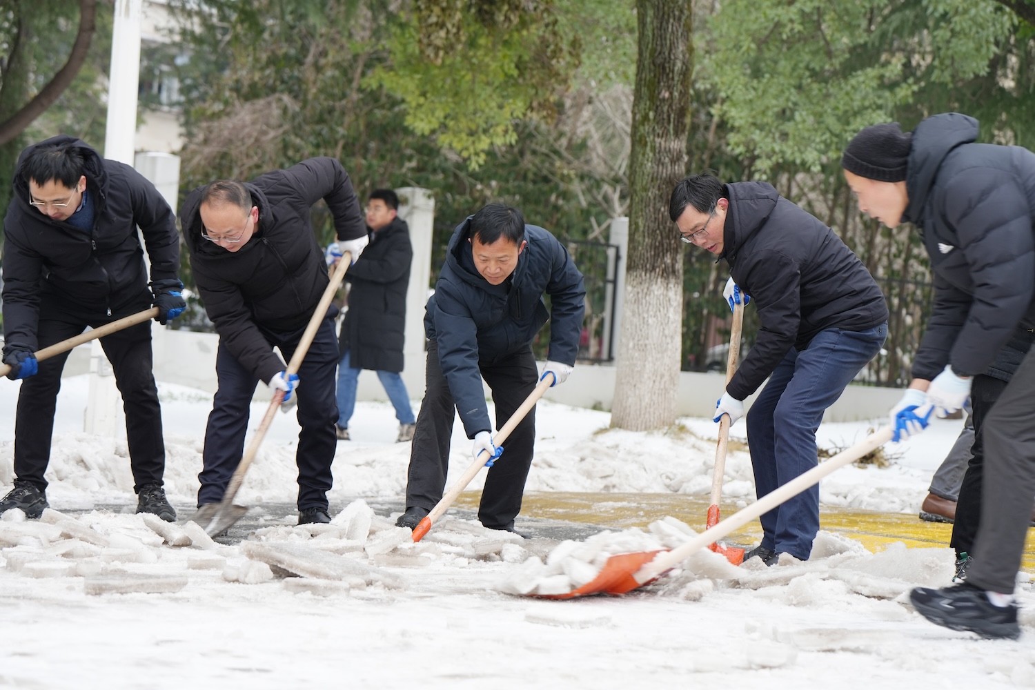 副校长郭刚奇与同事们清理狮子山大道上的积雪(记者 晏华华 摄)