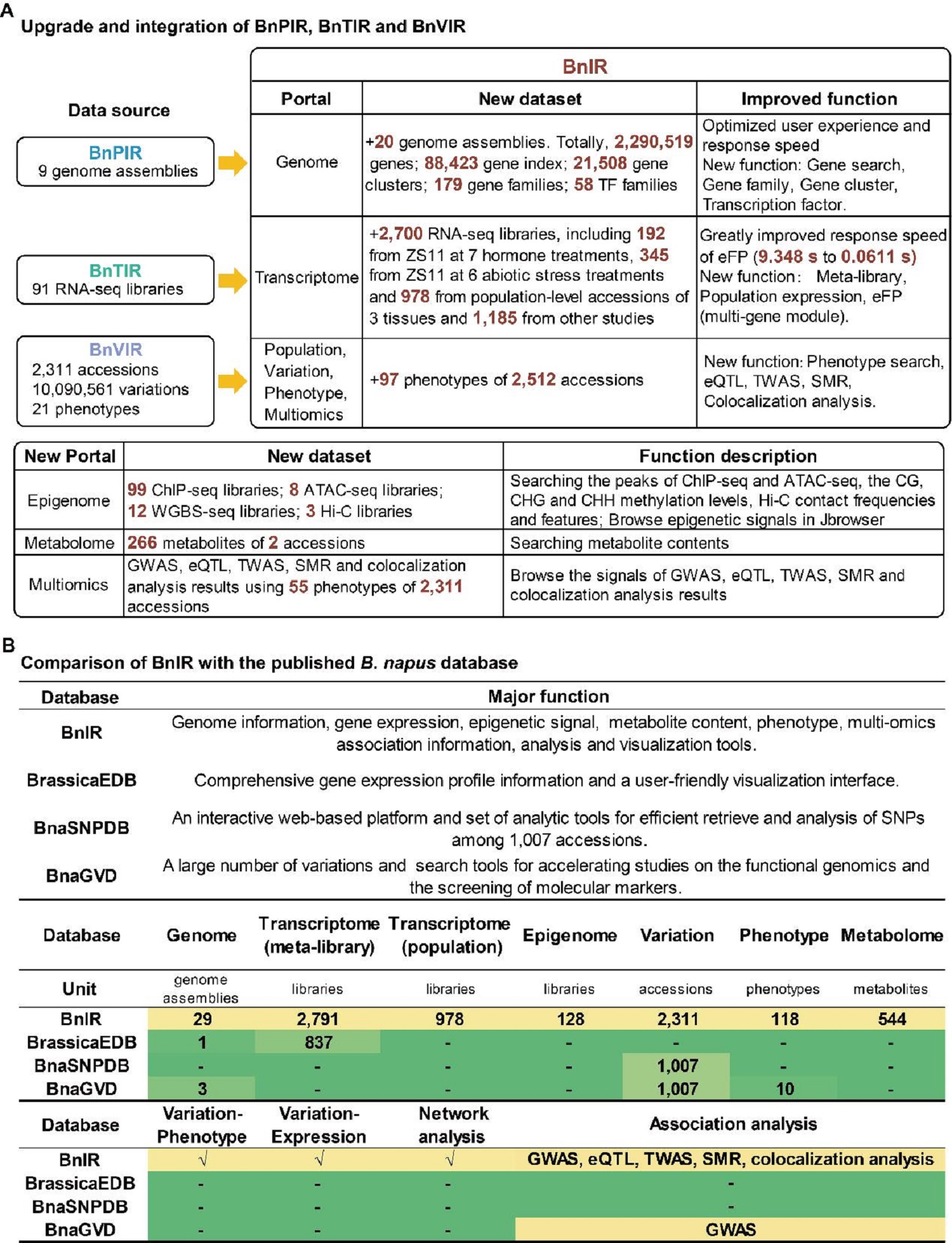 图3 油菜多组学数据库BnIR的新特征和新功能