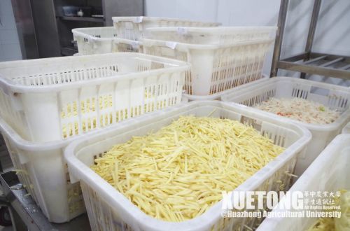 5.切好的土豆丝、萝卜丝