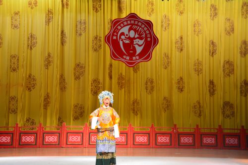 徐芳婷《打龙袍》剧照