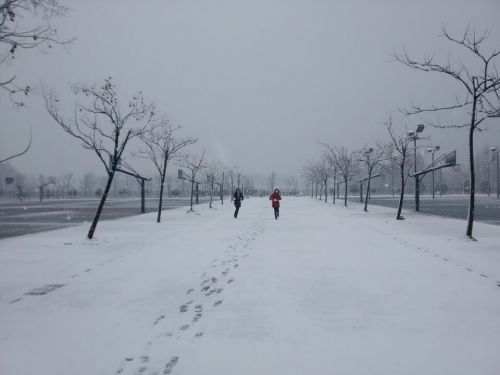 与纷飞的大学来场邂逅