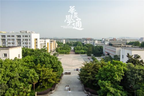 14.你,是否已迫不及待,欲登高迎风,看不一样的风景,赏华农之美。