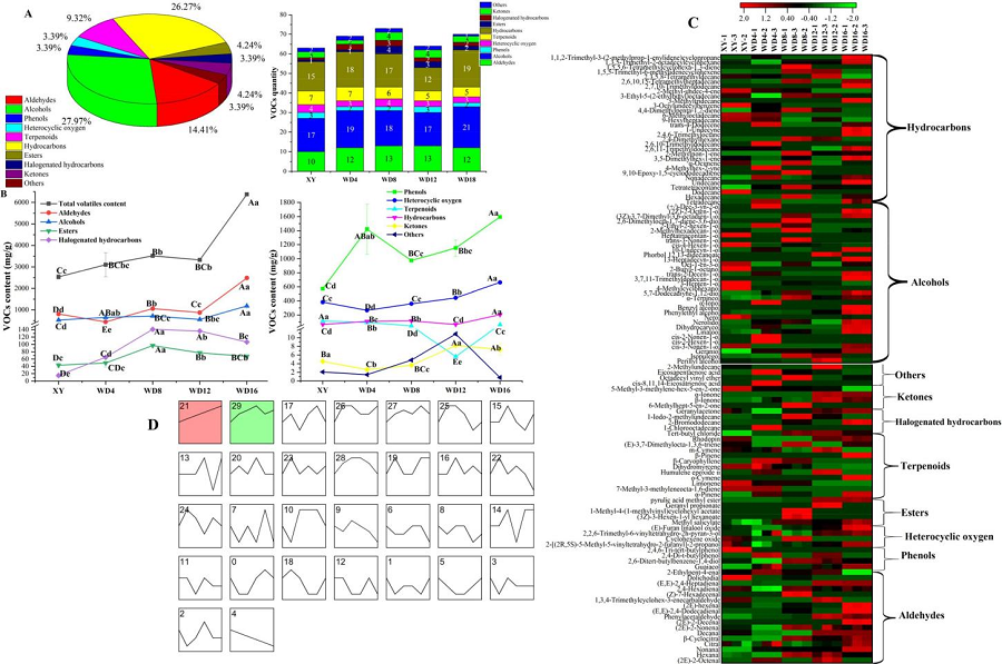 图1 挥发性有机物的分类分布及其在萎凋过程中的动态变化