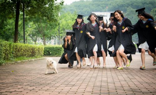 yq0KEVV5DhGALy-DAAcOOvTE8To481