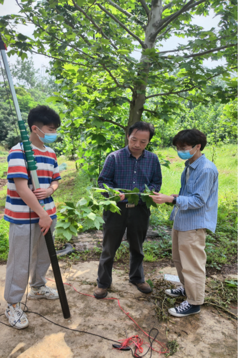 包满珠教授在基地指导学生（张锐 摄）