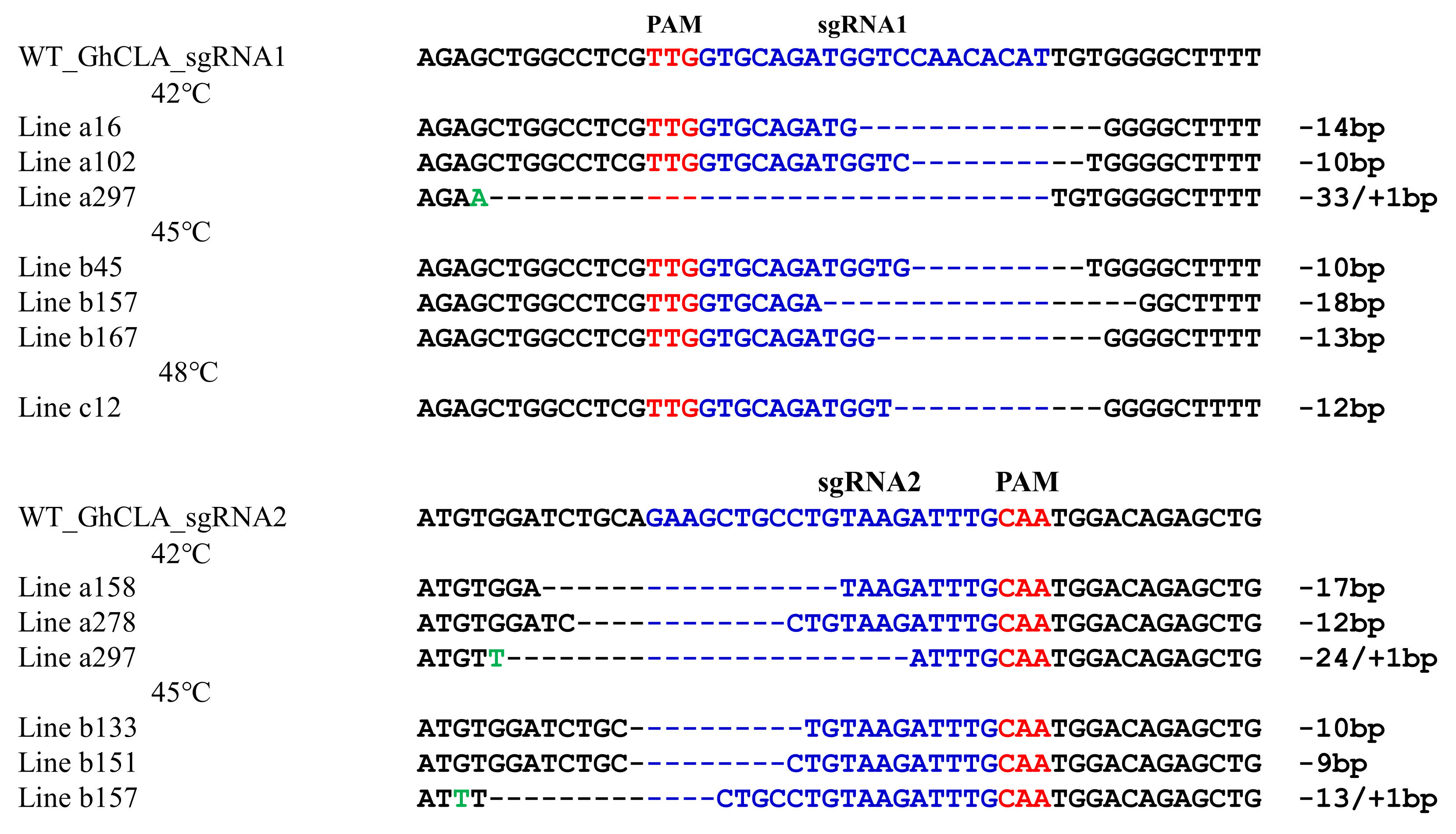 图1. CRISPR/Cas12b 系统介导的棉花基因编辑(王琼琼,金双侠,张献龙等. 2020, Plant Biotechnology Journal)