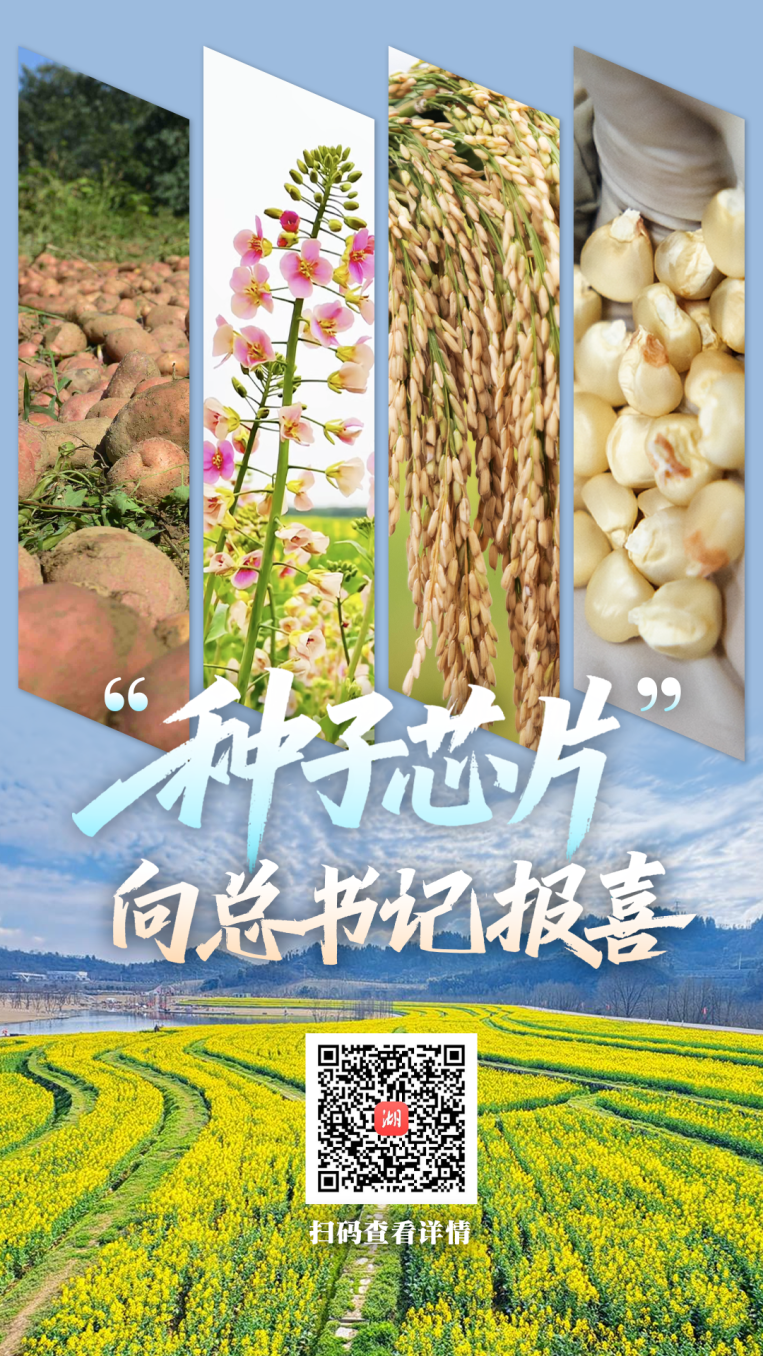 f2050dcf7054b25bba7b283da80d6f61.png