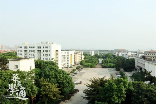 4.与逸夫楼静坐相对,两无言。