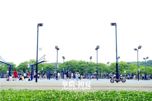 5.是绿草如茵,夏花初绽时,穿着长裙的她对他说“教我打篮球吧”时的怦然心动