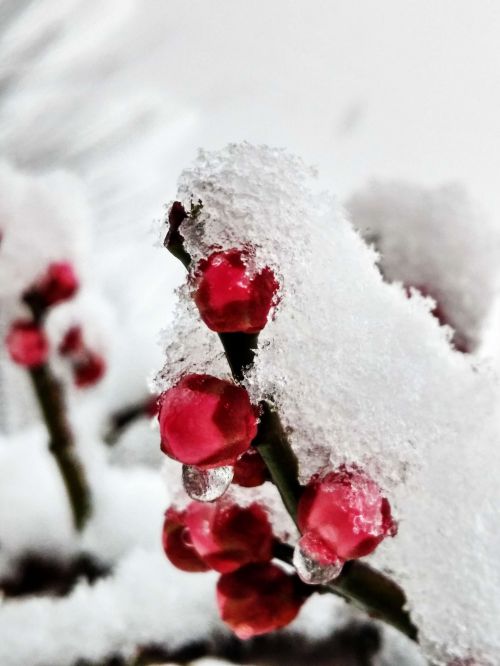 新建文件夹QQ图片20160201145915