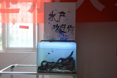 水产院的水族景观缸_看图王