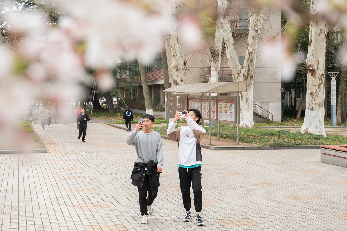11 环校长跑同学经过行政楼前樱花树驻足(学通社记者许可 摄)