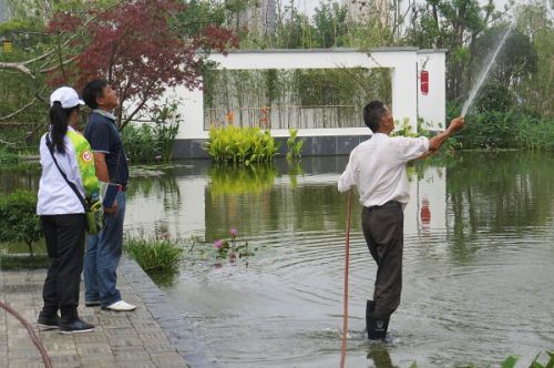 志愿者向园区管理人员询问植物养护实际操作方法