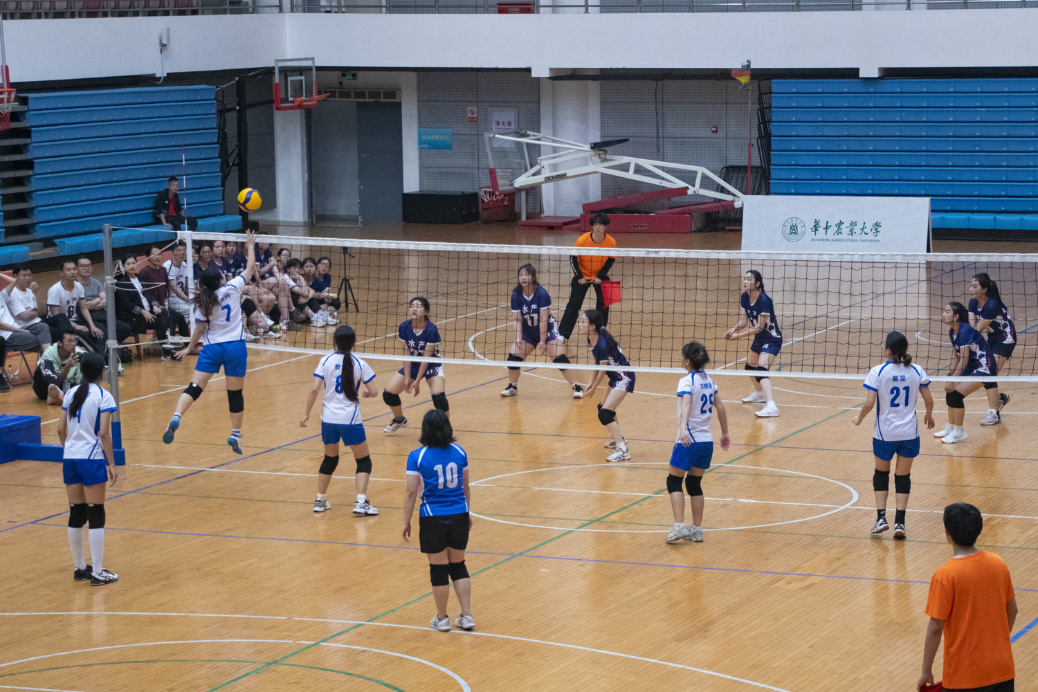 动物科学院动物医学院7号李佳科进攻(学通社记者 司欣然 摄)