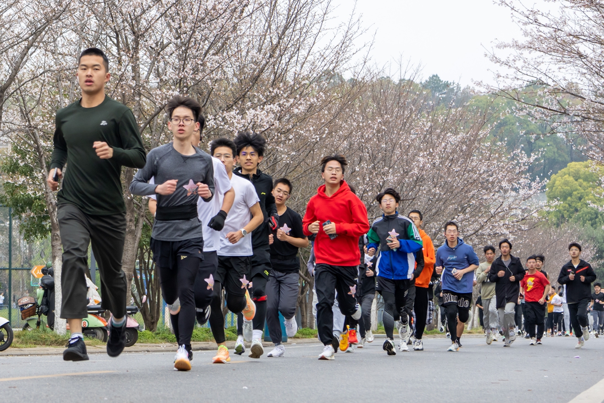 4 路过樱花大道3(学通社记者 魏洪博 摄)