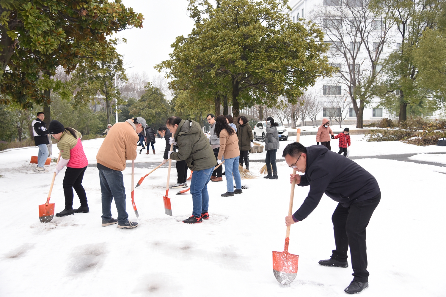 校医院、离退休工作部工作人员除雪(蒋朝常 摄)