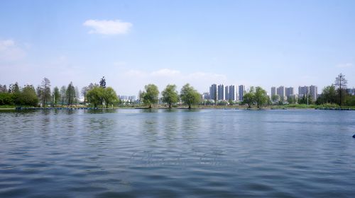 春风吹拂碧波荡